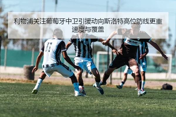 利物浦关注葡萄牙中卫引援动向斯洛特高位防线更重速度与覆盖